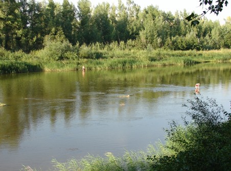 Река Илек