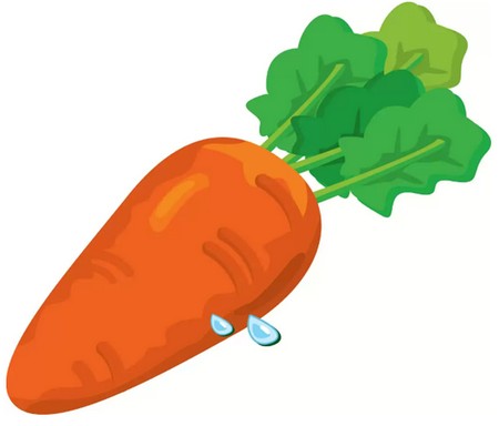 агадки про овощи. Морковка