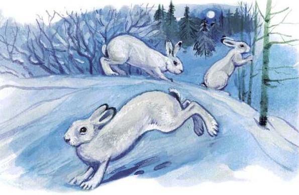 зайцы в зимнем лесу
