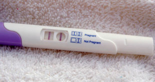 первая неделя беременности