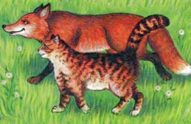лиса и кот гуляют